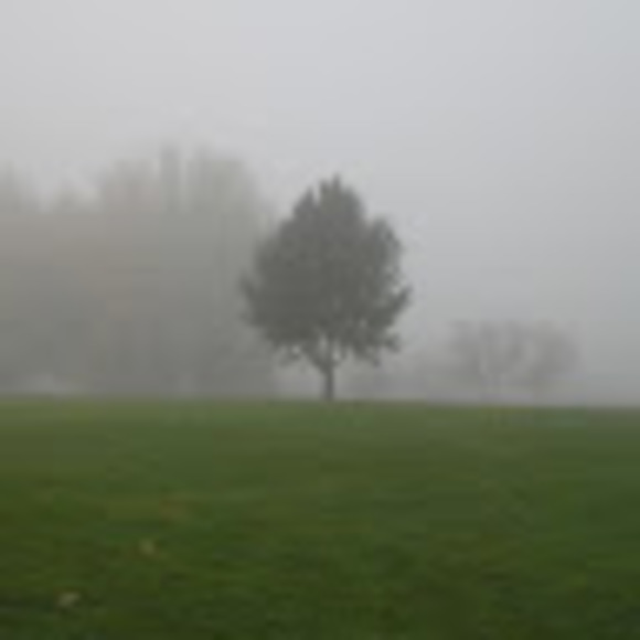 Meet your Posher, Chloe - Picture 1 of 1